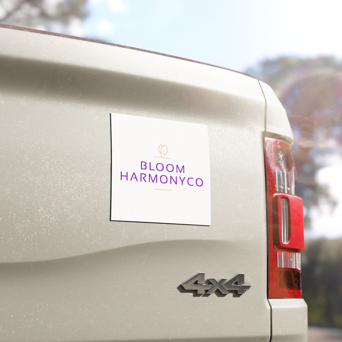 Car Magnets